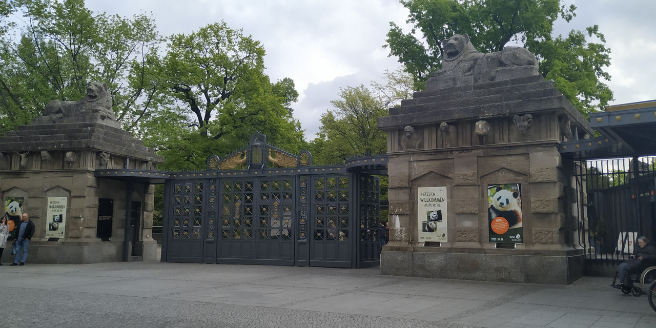 IMG_20190509_113139[1]