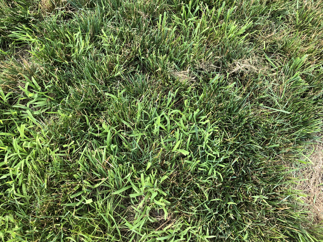 1E11AAD4-76DD-4041-894E-FC4B08DAB8FA