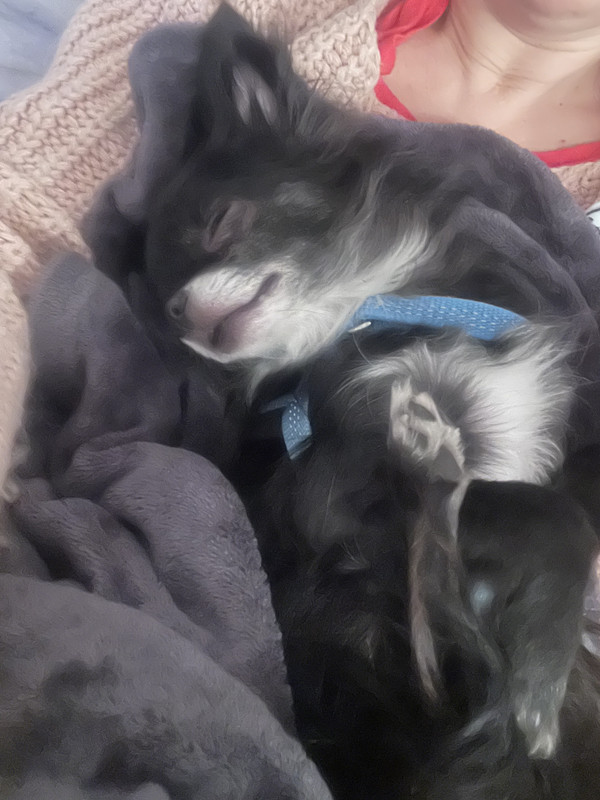 [Image: 2991194-F-EF40-4-F5-F-B063-631-F253-D242-B.jpg]