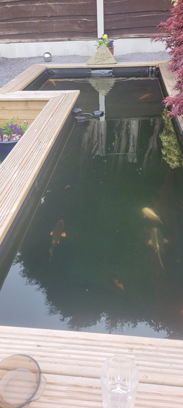 1686942992835274850603121598754