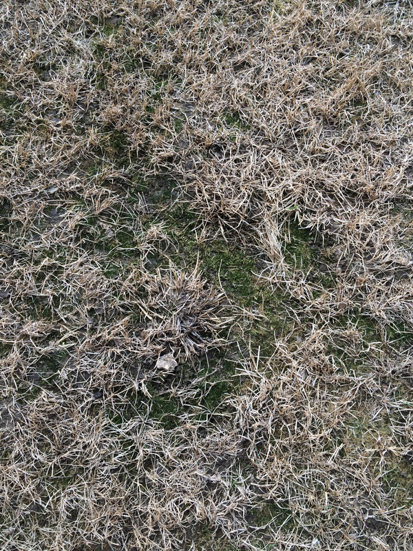 IMG_2240_zpsb4edee78