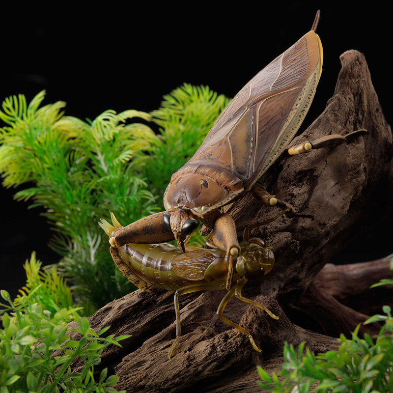 STS 2021 Figure of the Year: Terrestrial Invertebrates Revogeo-bug