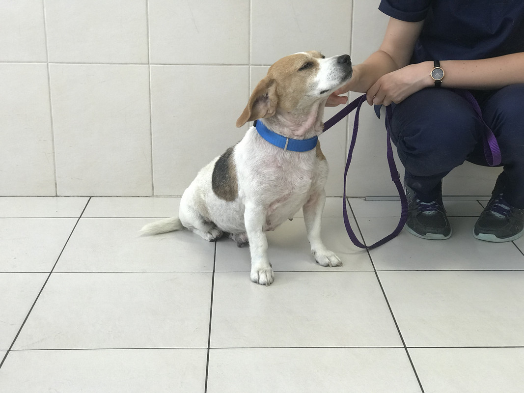 CF89173F-8639-449C-8F2F-6BED3FEC1334