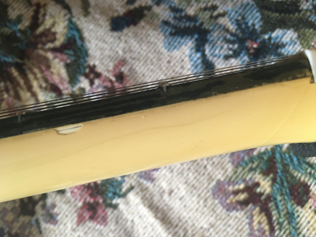 B5C71D81-C23C-4ECC-B77A-CC628EF9958F