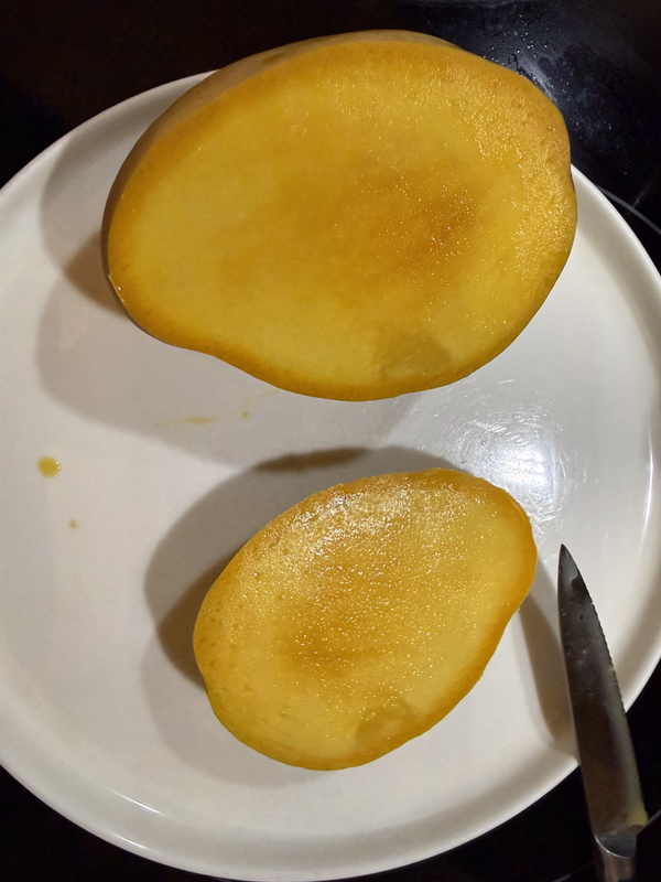 Mango Edward 726c