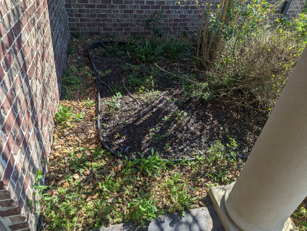 PXL_20230305_163550302