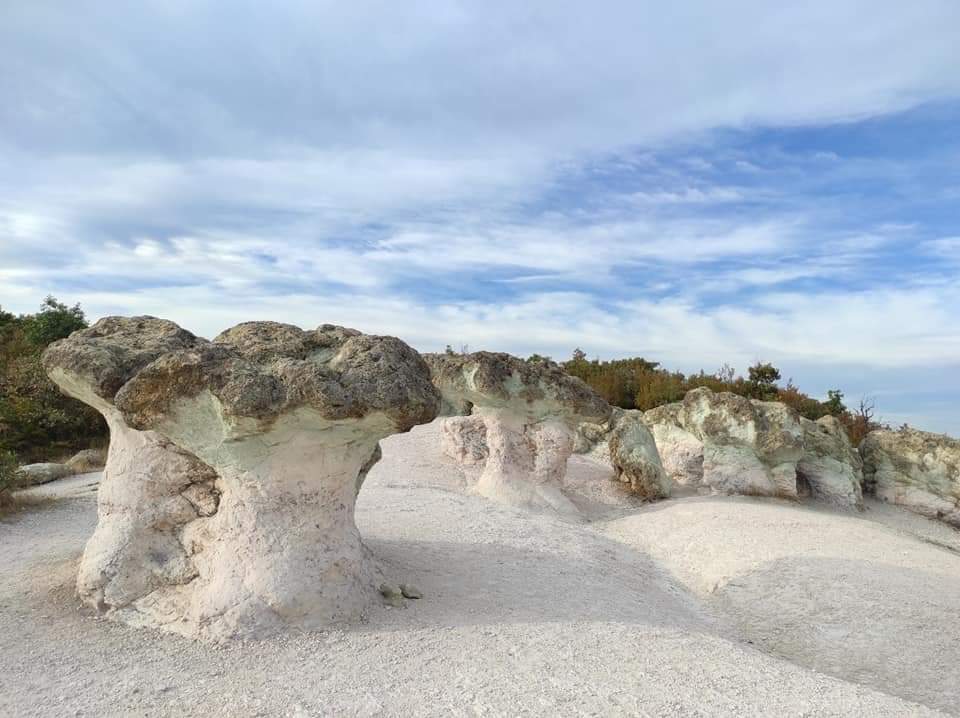 FB_IMG_1632815606193