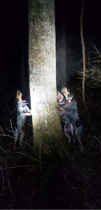 Resized_imagejpeg (1)