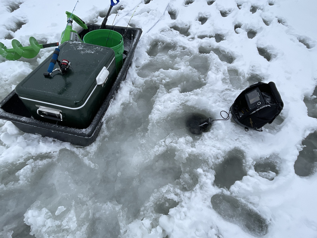 D55C7961-8447-4051-A256-7AA827973B89