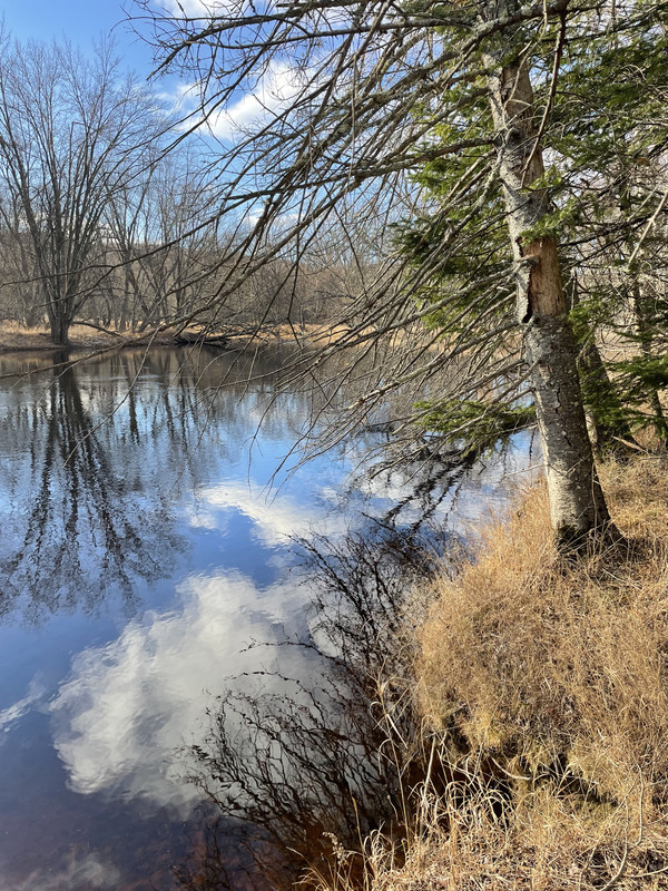 6B109EED-E7EF-4A13-8BBF-51CCD55A2B30