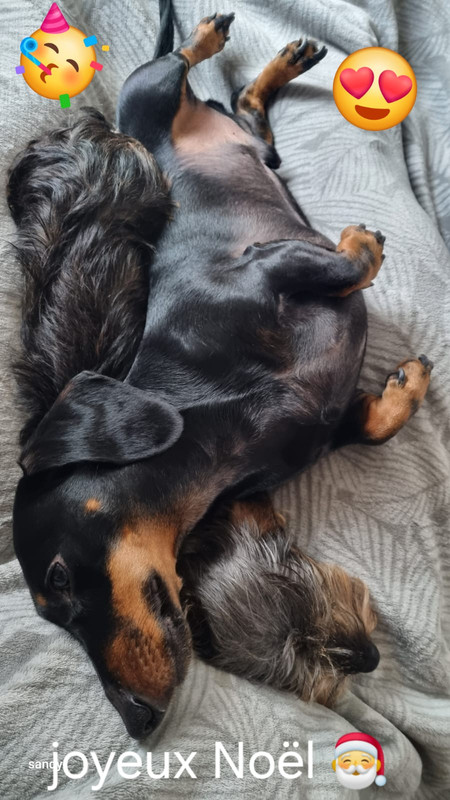 [Image: IMG-20231225-WA0008.jpg]