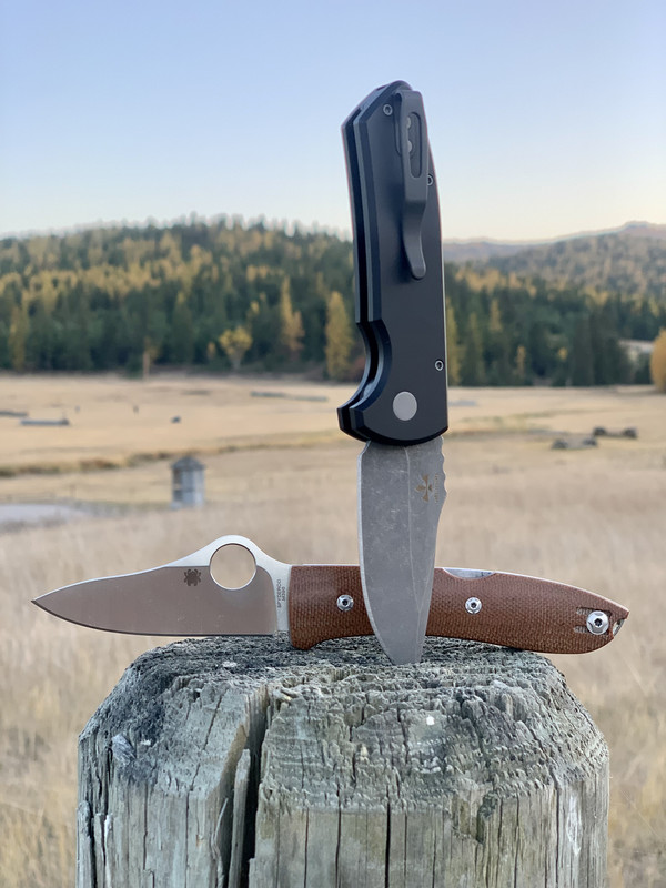 3E934F41-8248-4961-B349-7B48532880E0