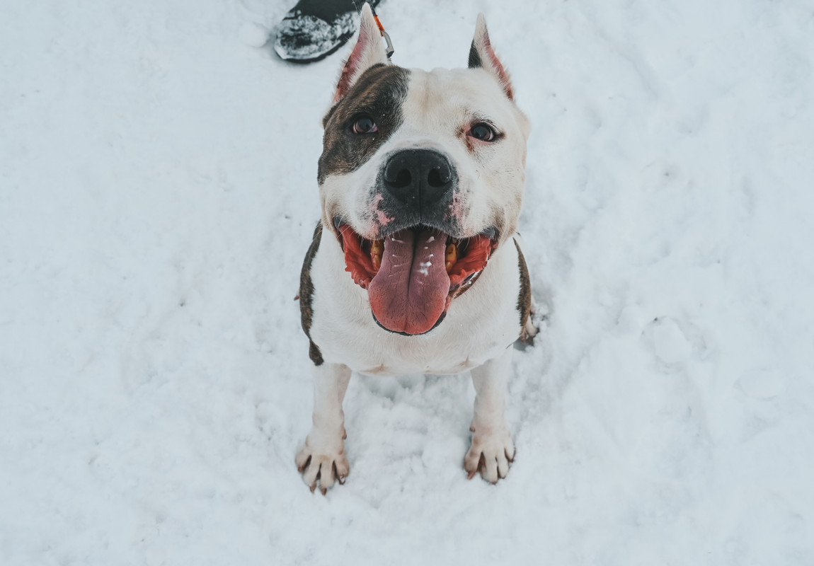 752FD7B3-2E3C-4D23-AA47-FDD511E1CE2E