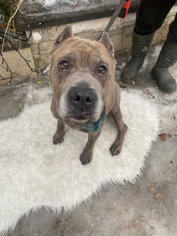 DEEDB858-D294-4057-A1CB-799ED74590F9