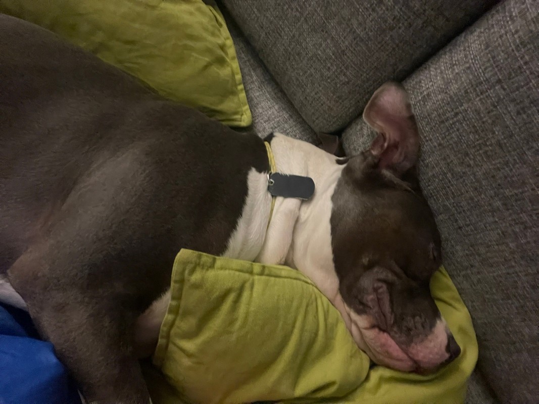 AED1DEB4-D62A-4E31-857A-7B3BD474581A