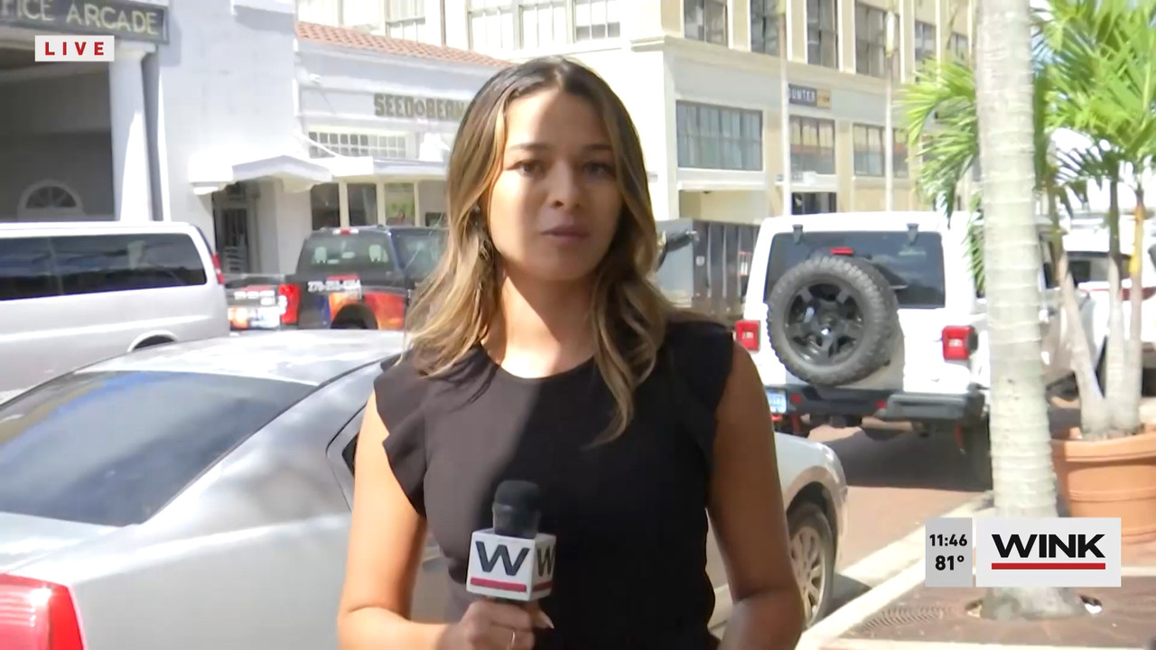 10.09 - 16.30.00 - WINK NEWS at 11 30am  ᴺᵉʷ. Midday news..ts_snapshot_23.15.953