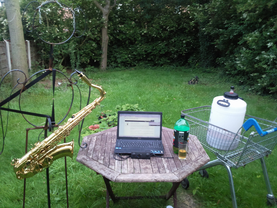 Bob_The_Iron_scarecrow_-_Garden.jpg