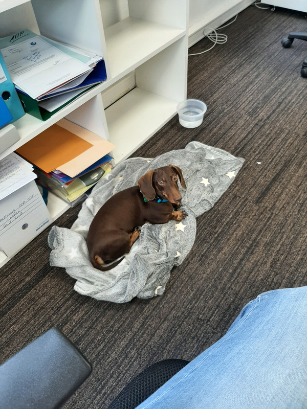 [Image: 20200819-144241.jpg]