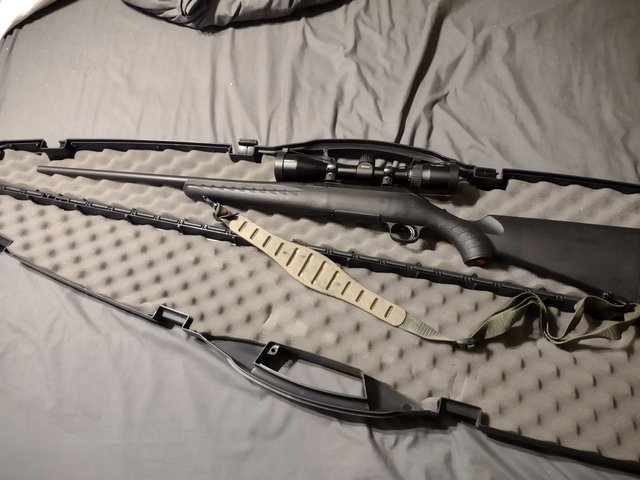 IMG_20220722_004819582