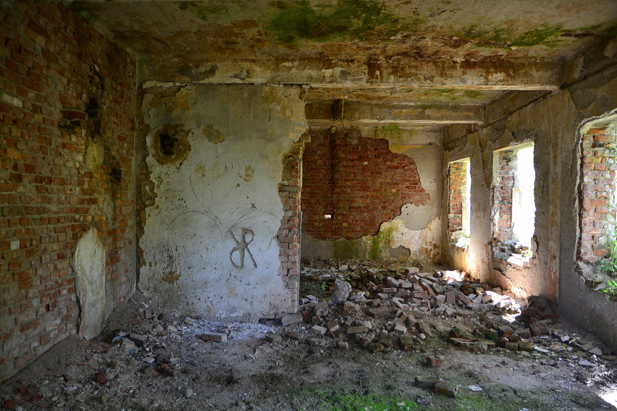 DSC_5229
