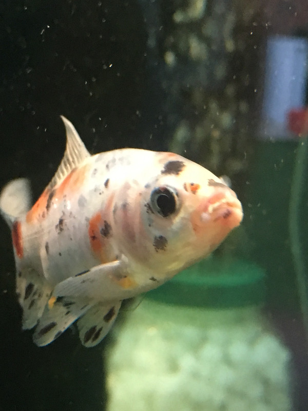 D021869B-23CB-446C-97A9-5340AE08EADC