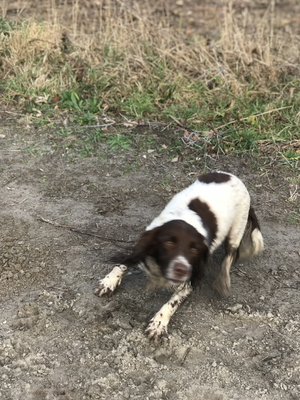 25DBCB68 0ECA 41ED B252 15422394B503