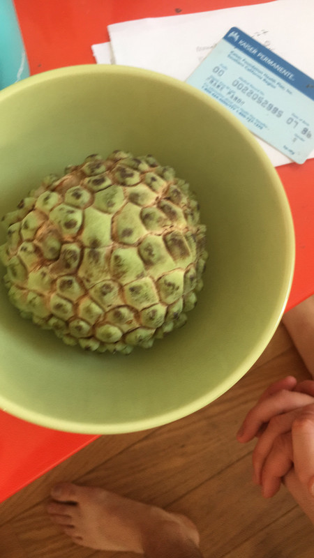 D0C438ED-97F8-4A28-A7DE-716B129C100A