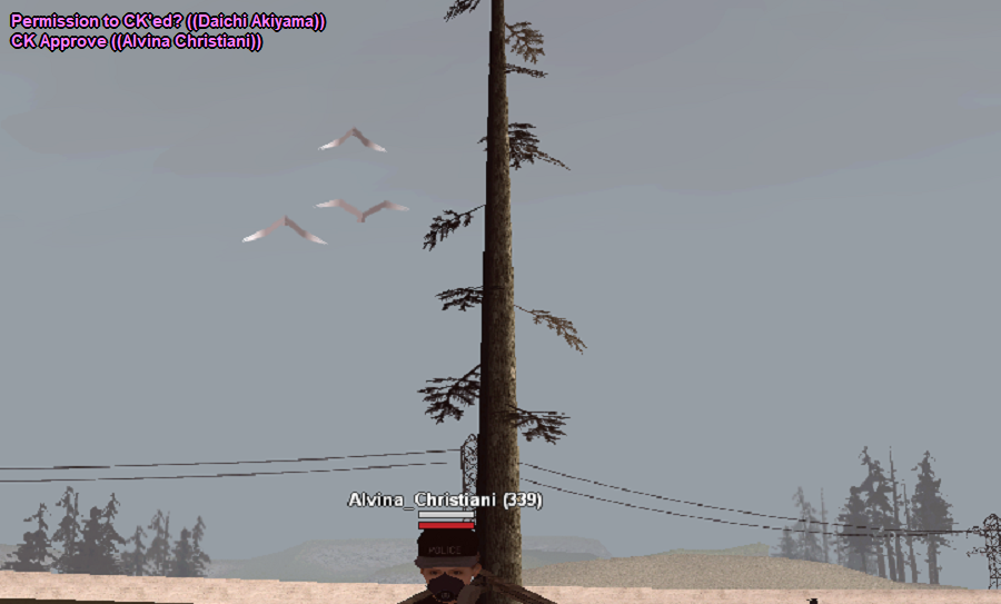 SS-CK-014.png