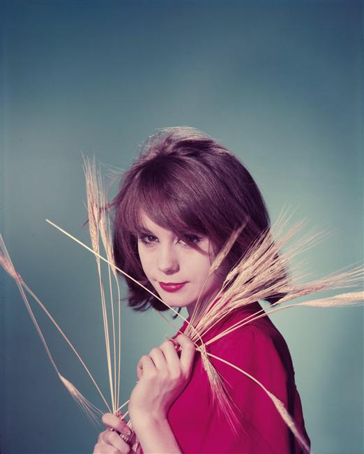 francoise_dorleac_za34