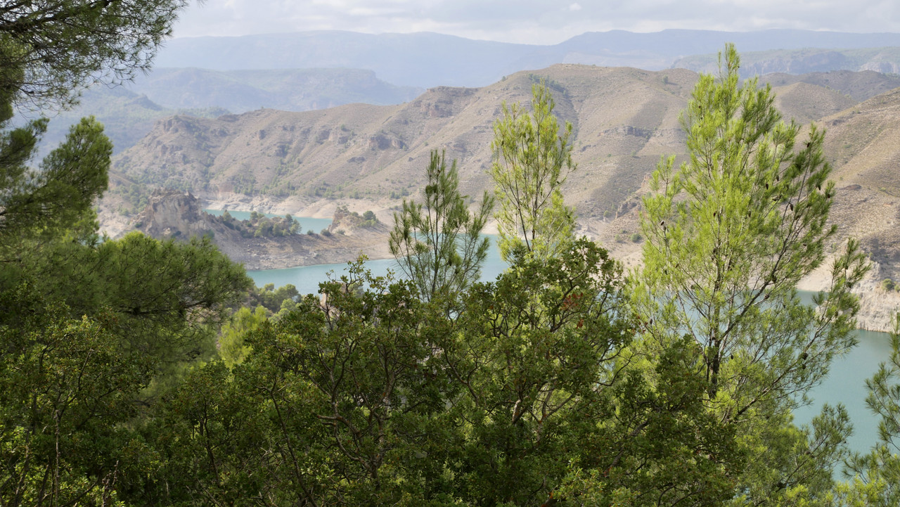 DC9E6693-B52E-4733-A2F9-B1F07CB56B88