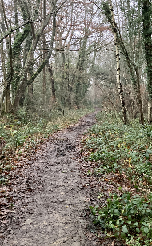 F13CFFFA-72E0-454F-B71C-E8C6216A9A60