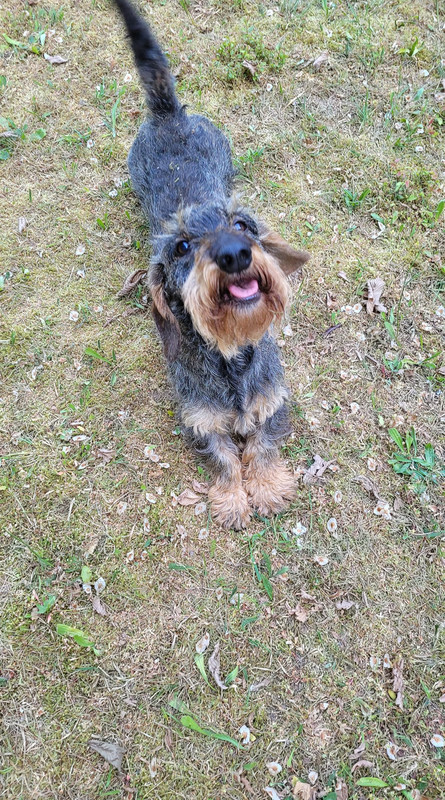 [Image: 359526466-289104983595452-614398264063799361-n.jpg]