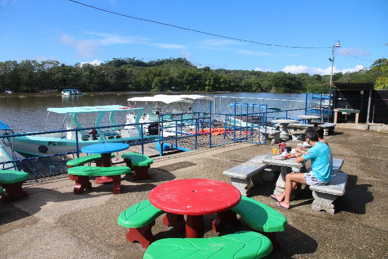 DIA 13: EXCURSIÓN DE UN DÍA A CORCOVADO - DE TORTUGAS Y PEREZOSOS. COSTA RICA 2019 (6)