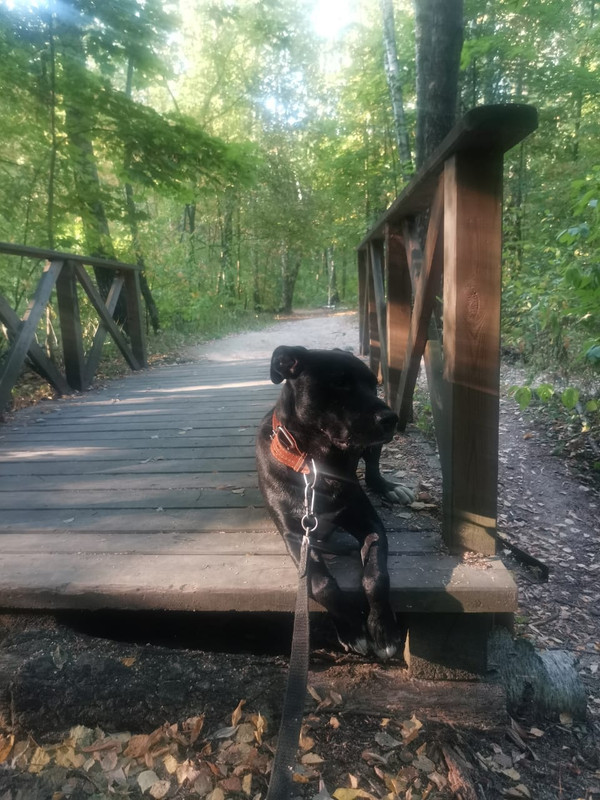 3B572E86-7165-4611-B9F3-6B105E7E5984