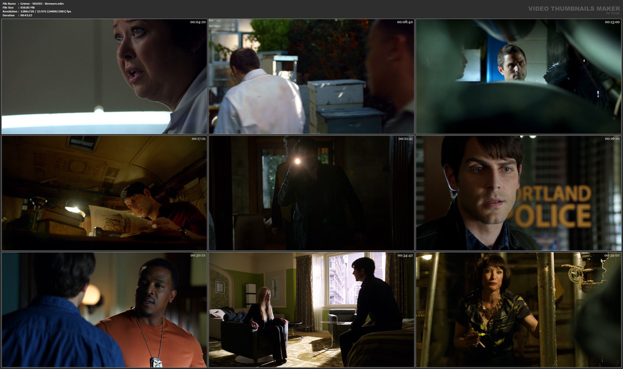 Grimm - S01E03 - Beeware.mkv