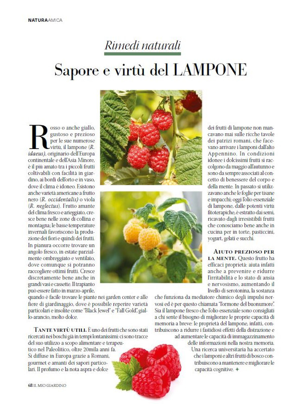 Il Mio Giar Giu-Lug 2025 (11)