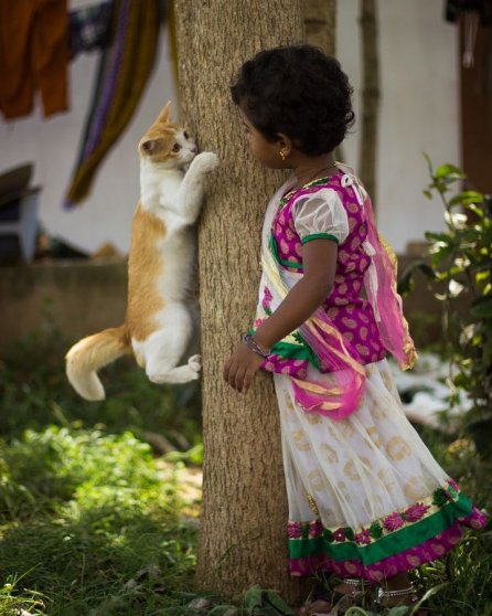 https://i.postimg.cc/zGbj24Zt/by-c2a9-sampath-kumar.jpg