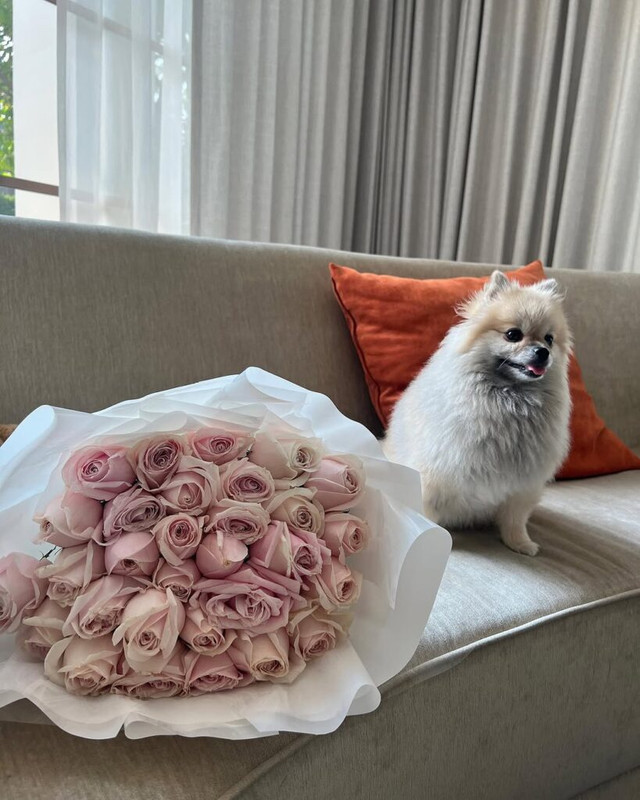 nickynachat-page-1-819x1024