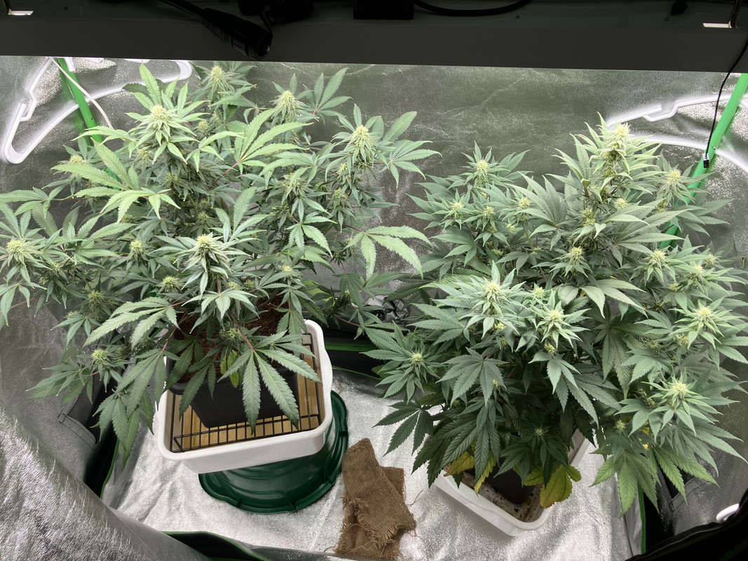 22C4EFCD-975C-4693-9B88-8A37785180D6