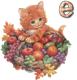 El Gatito y las Frutas  E