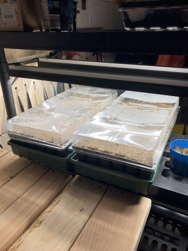 6CDEF446-5DFB-4986-B416-AD11F2CA6498