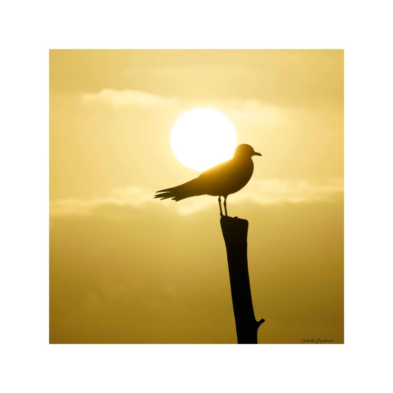 [Image: FB-IMG-1644265519672.jpg]