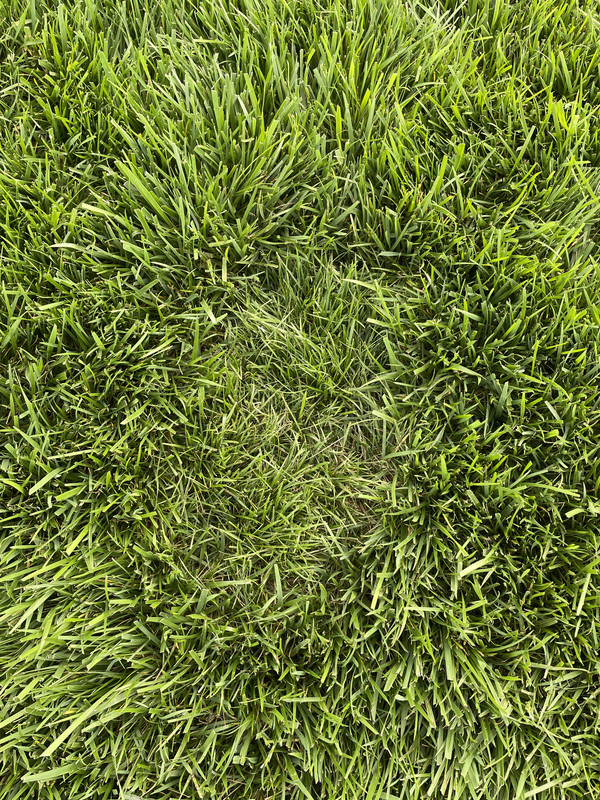 9720FCB3-59C4-4697-ACD6-7AD9A0B4A799