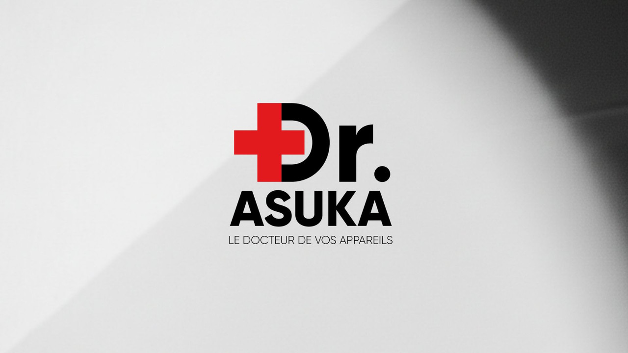 Aperçu de la mission : (DOCTEUR ASUKA) - Product & Business Development