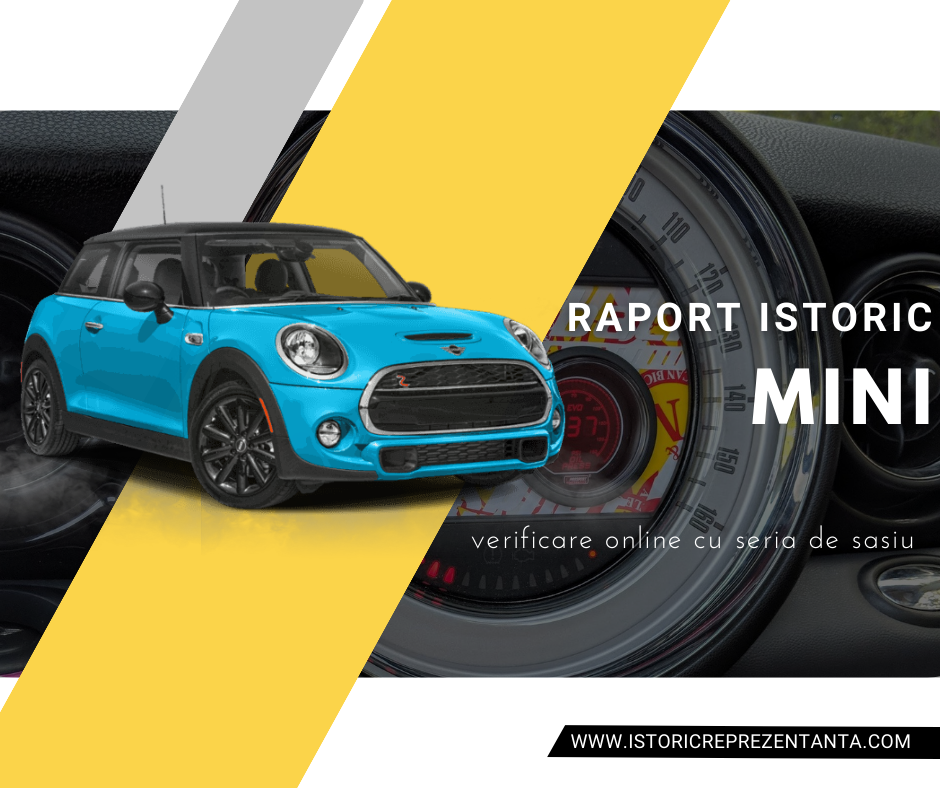 Verificare istoric MINI