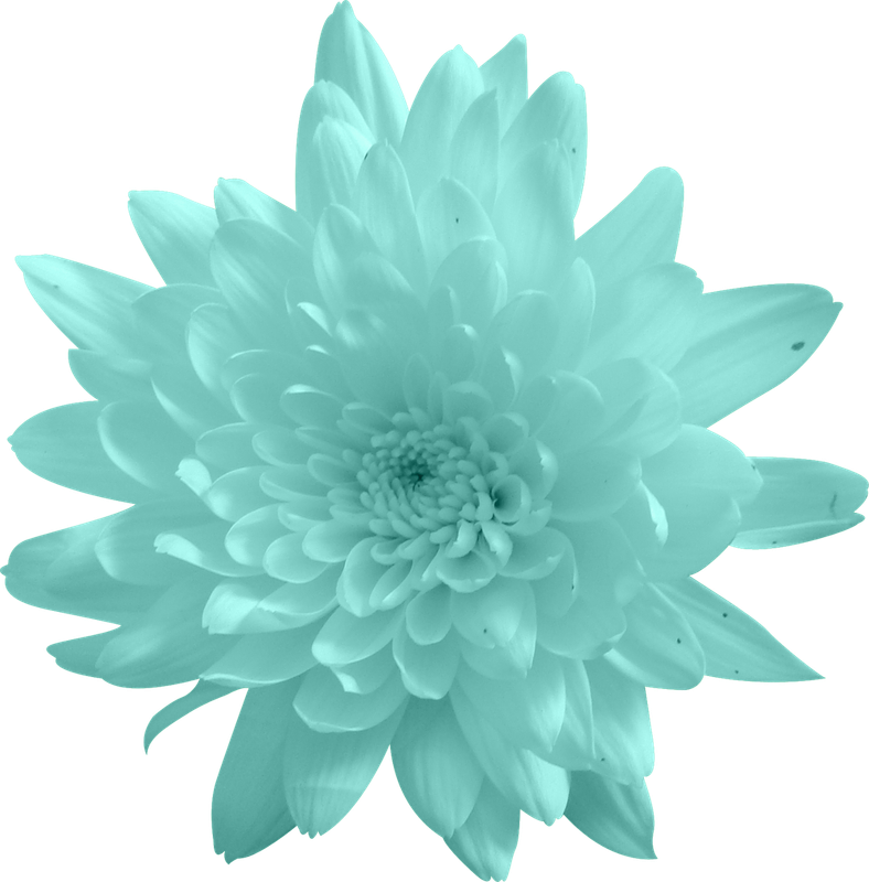 element_ks (73)