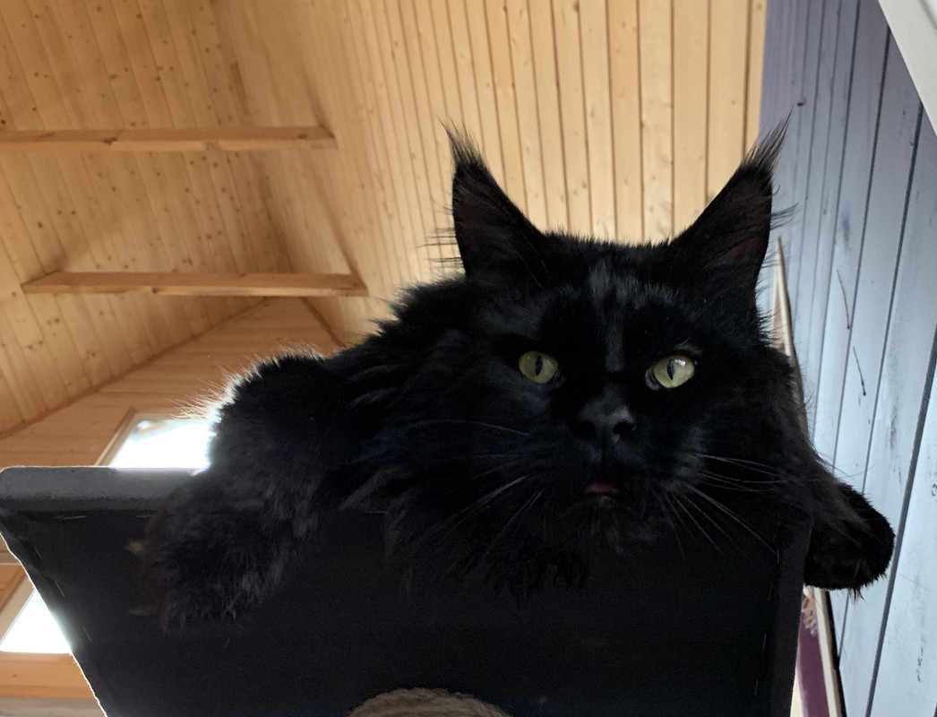 94D6DD87-1168-40A6-A6BA-CB7037026D7E