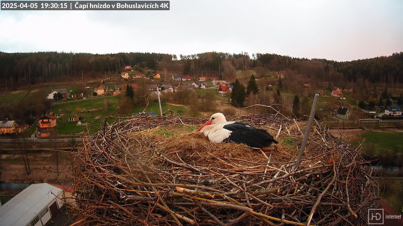 Živě z čapího komína firmy KARA v Bohuslavicích u Trutnova 11-49-48 screenshot