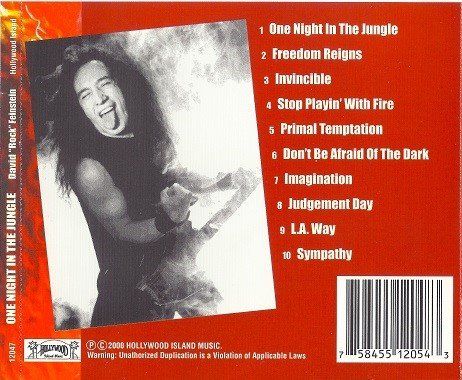 David Rock Feinstein - One Night In The Jungle (2000) Lossless David Rock Feinstein - One Night In The Jungle (2000) Lossless