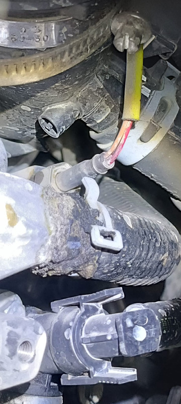 Whats App Image 2025 11 10 at 13 54 42